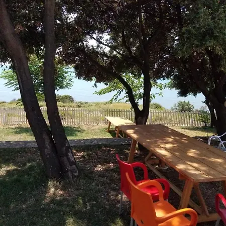 Oasis Residency Apartment